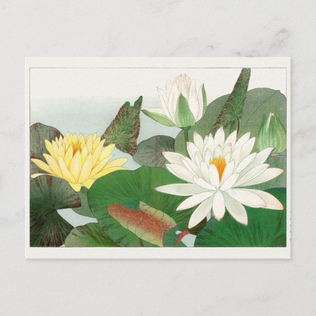 Water lily by Tanigami Konan Postcard (Front)
