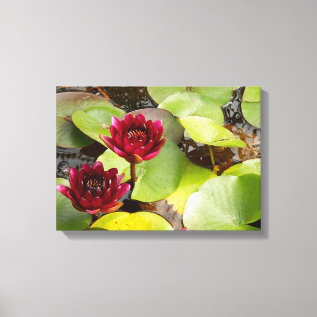 Water Lily Canvas Print (Front)