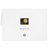 Water Lily Cards (Back Horizontal)