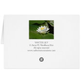 Water Lily Cards (Back Horizontal)