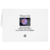 Water Lily Cards (Back Horizontal)