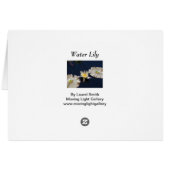 Water Lily Cards (Back Horizontal)