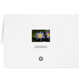 Water Lily Cards (Back Horizontal)