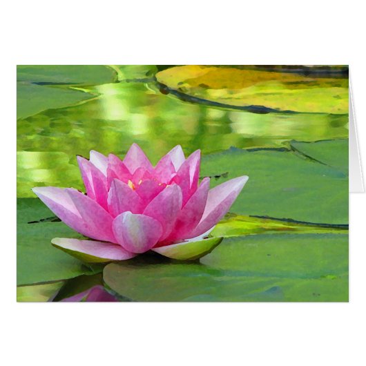 Water Lily Cards (Front Horizontal)