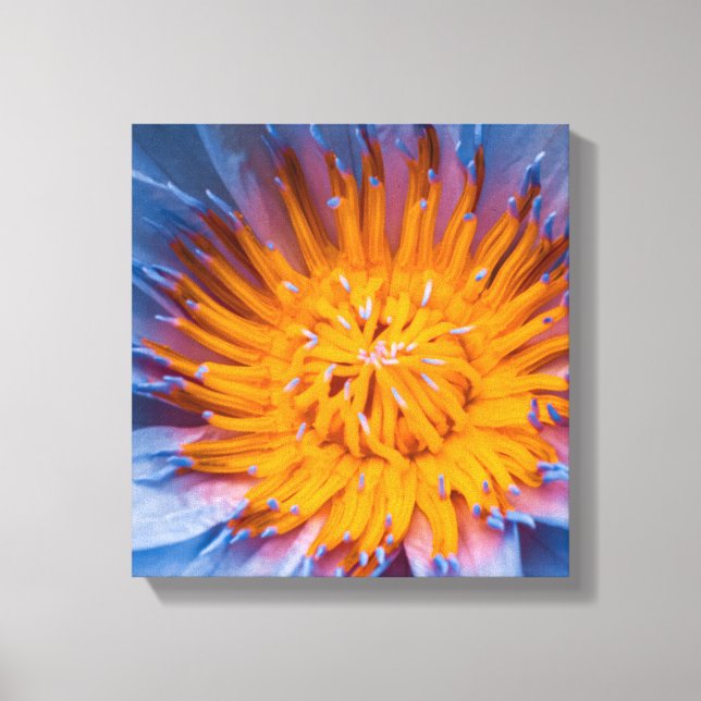 Water Lily Centered Canvas Print (Front)