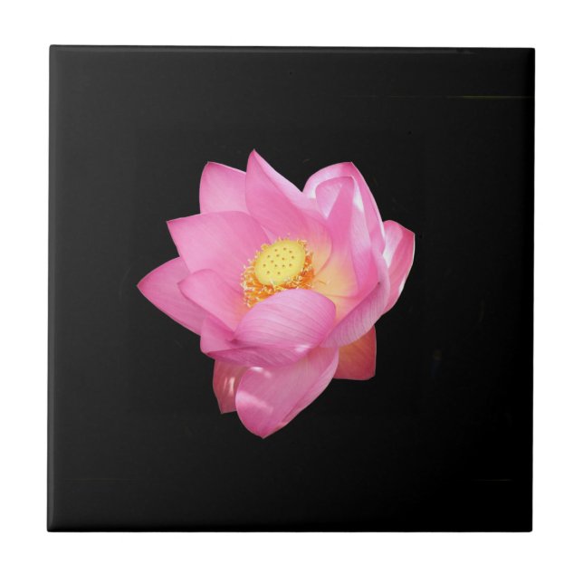 Water Lily Ceramic Tile (Front)