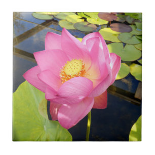 Water Lily Ceramic Tile