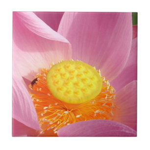 Water Lily Ceramic Tile
