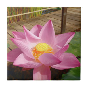 Water Lily Ceramic Tile