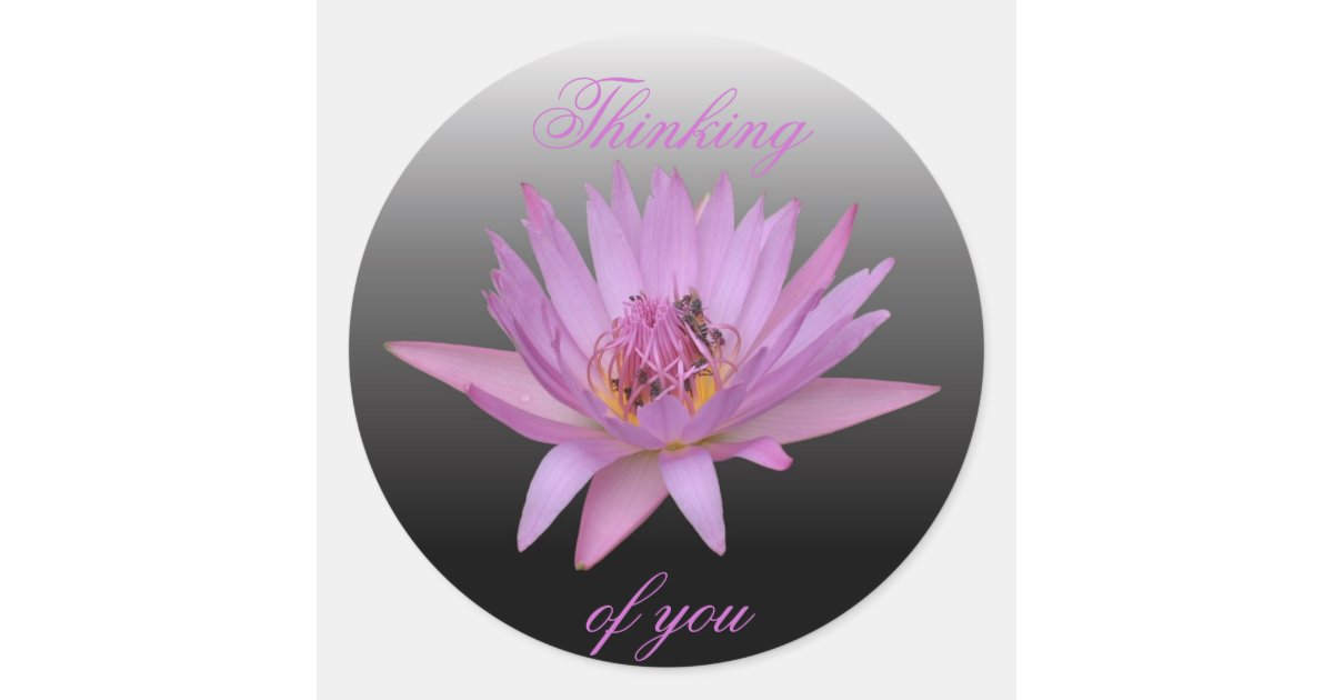 Water Lily Classic Round Sticker | Zazzle