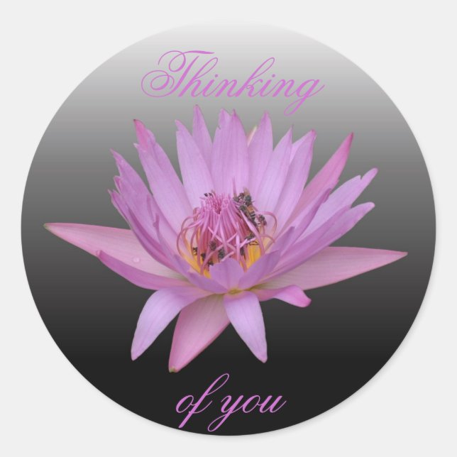 Water Lily Classic Round Sticker (Front)