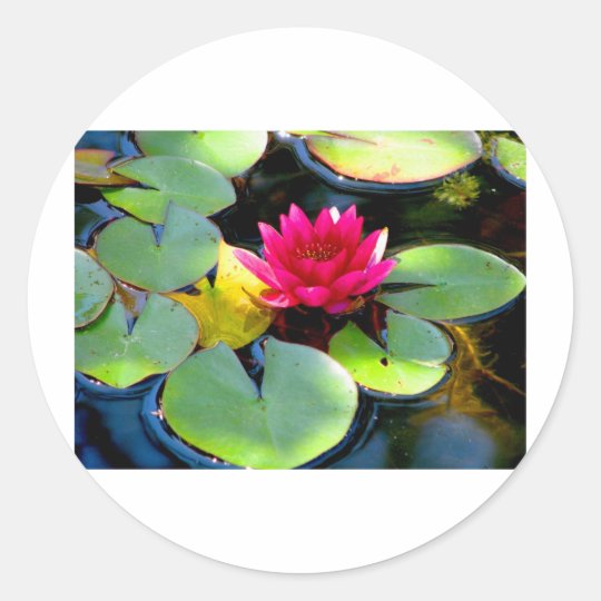 Water Lily Classic Round Sticker