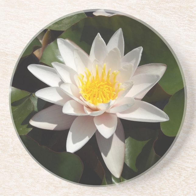 Water lily coaster (Front)