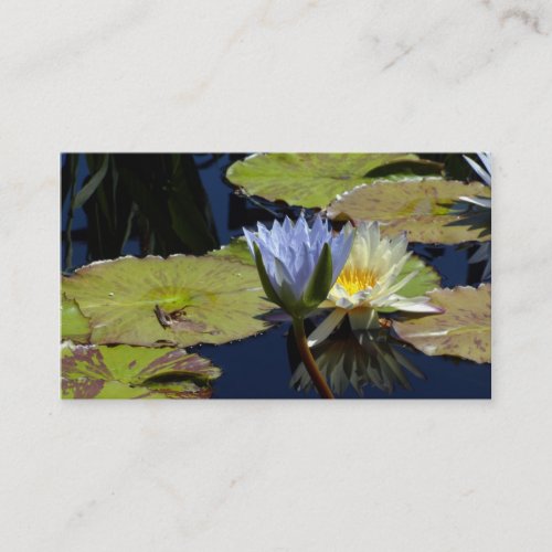 Water Lily Dance Business Card Templates