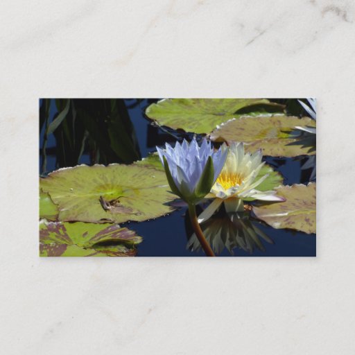 Customizable Water Lily Dance Business Card Templates