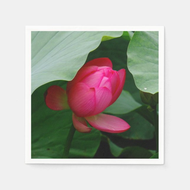 Water Lily Deep Rose Napkins (Front)