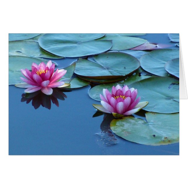 Water Lily Duet Cards (Front Horizontal)
