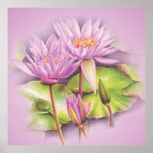 Water lily fine art botanical poster print