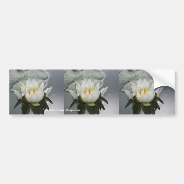 Water Lily Flower Bumper Sticker Car Art (Front)
