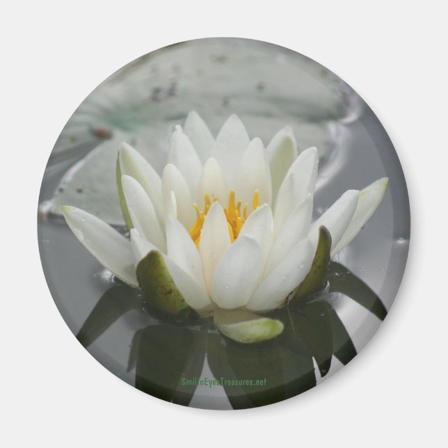 Water Lily Flower Photography Magnet (Front)