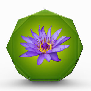Water Lily Flower Pond Aquatic Purple Water Bloom Acrylic Award