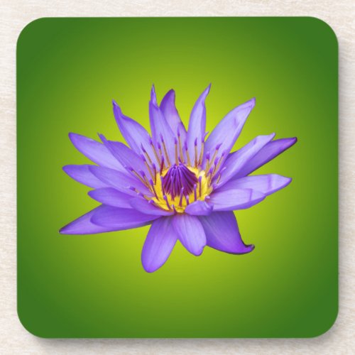 Water Lily Flower Pond Aquatic Purple Water Bloom Drink Coaster