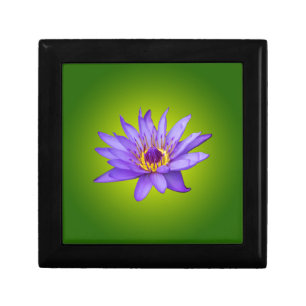 Water Lily Flower Pond Aquatic Purple Water Bloom Gift Box
