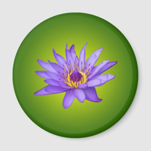 Water Lily Flower Pond Aquatic Purple Water Bloom Magnet