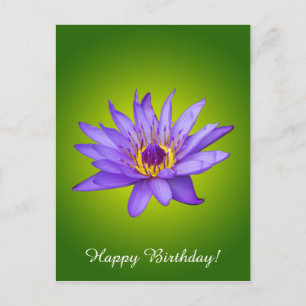 Water Lily Flower Pond Aquatic Purple Water Bloom Postcard