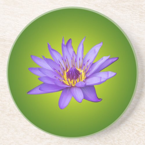 Water Lily Flower Pond Aquatic Purple Water Bloom Sandstone Coaster