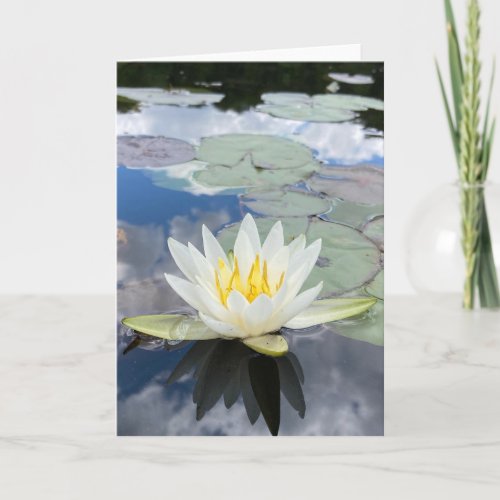 water lily greeting card blank inside
