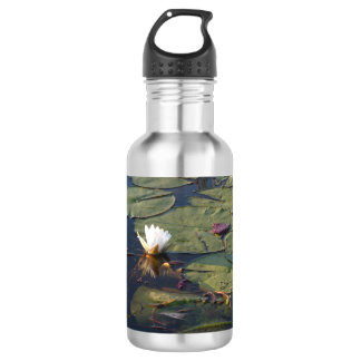 Water Lily in bloom Stainless Steel Water Bottle