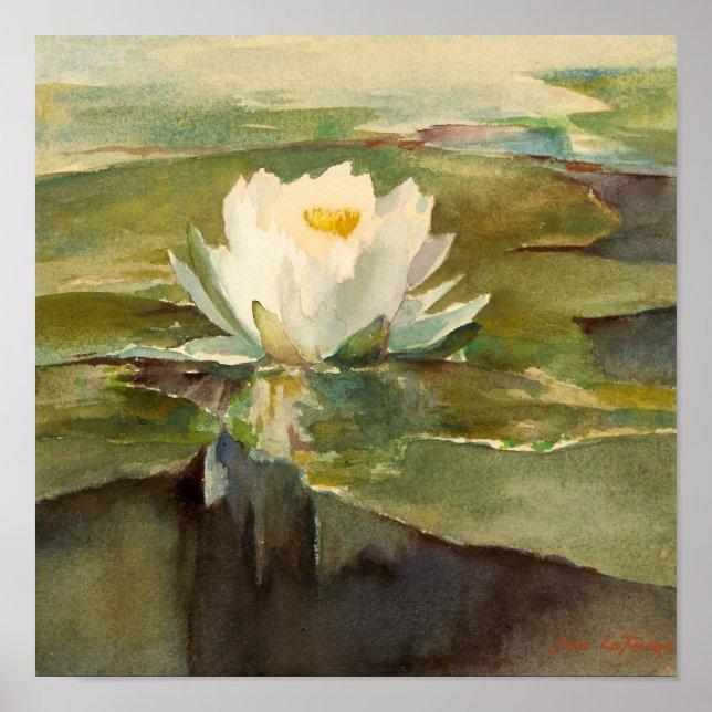 Water Lily in Sunlight | John La Farge Poster (Front)