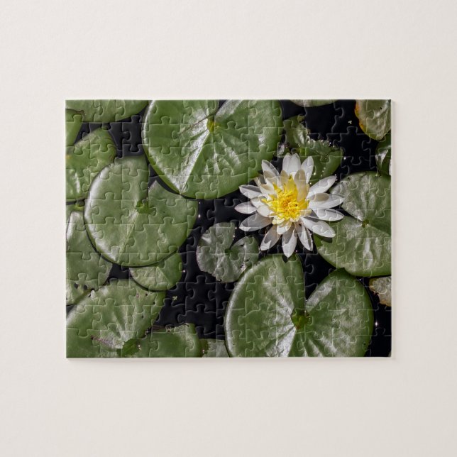Water Lily Jigsaw Puzzle (Horizontal)
