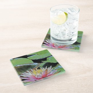 WATER LILY & LILY PADS GLASS COASTER