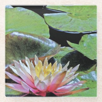 WATER LILY & LILY PADS GLASS COASTER