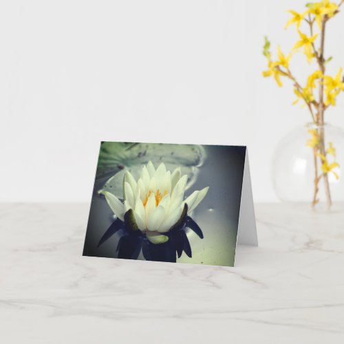 Water Lily Lotus Flower Note Card