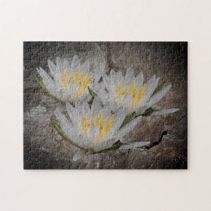 Water Lily Lotus Flower On Stone Jigsaw Puzzle