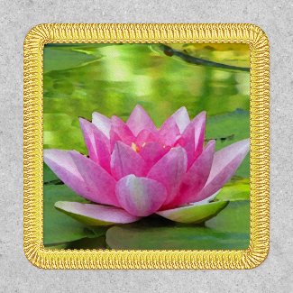 Water Lily Lotus Flower Patch