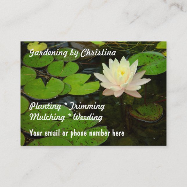 Water lily Lotus flower pond Business Cards (Front)