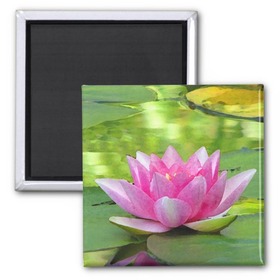 Water Lily Magnet