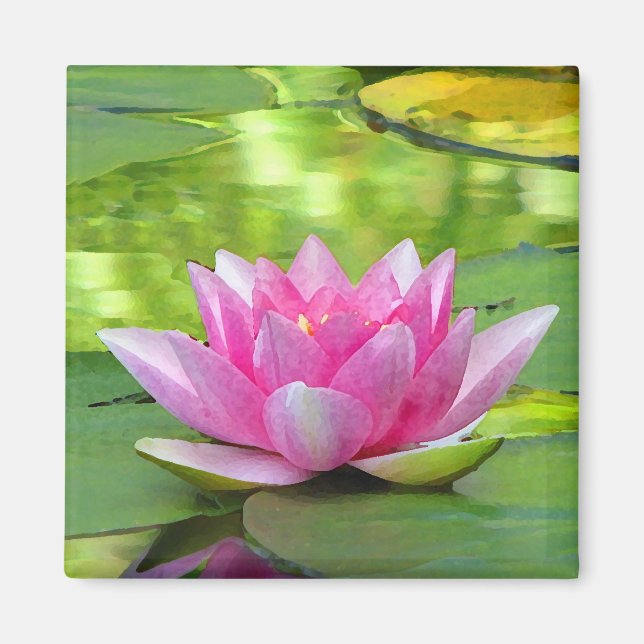 Water Lily Magnet (Front)