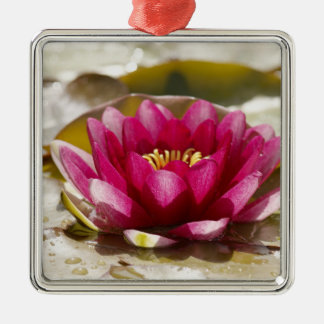 Water lily metal ornament