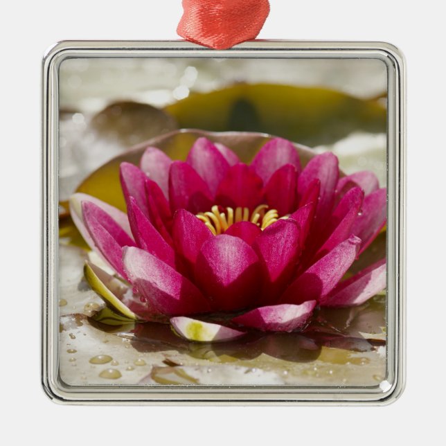Water lily metal ornament (Front)