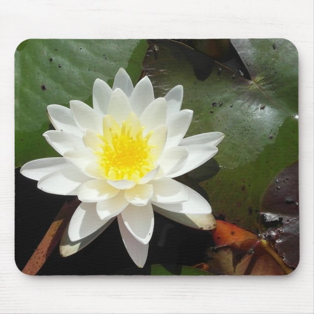 Water Lily Mouse Pad (Front)
