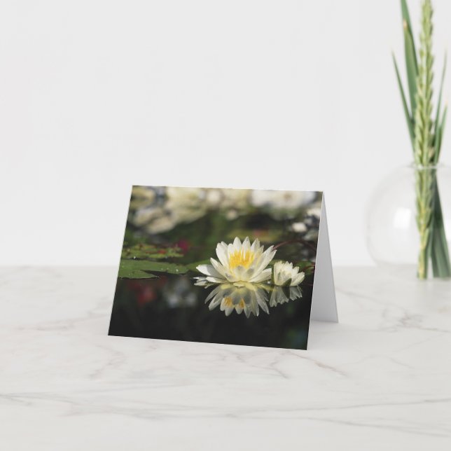 Water Lily Note Card (Front)