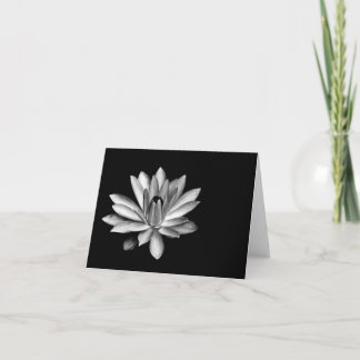 Water Lily Note Card