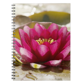 Water lily notebook