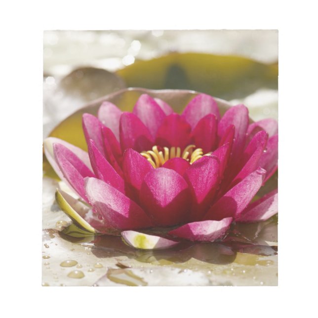 Water lily notepad (Front)
