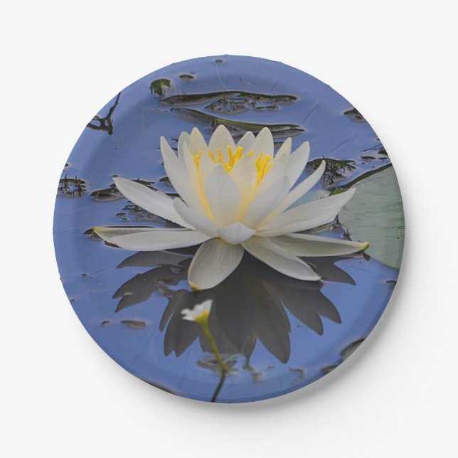 Water Lily Paper Plate (Front)